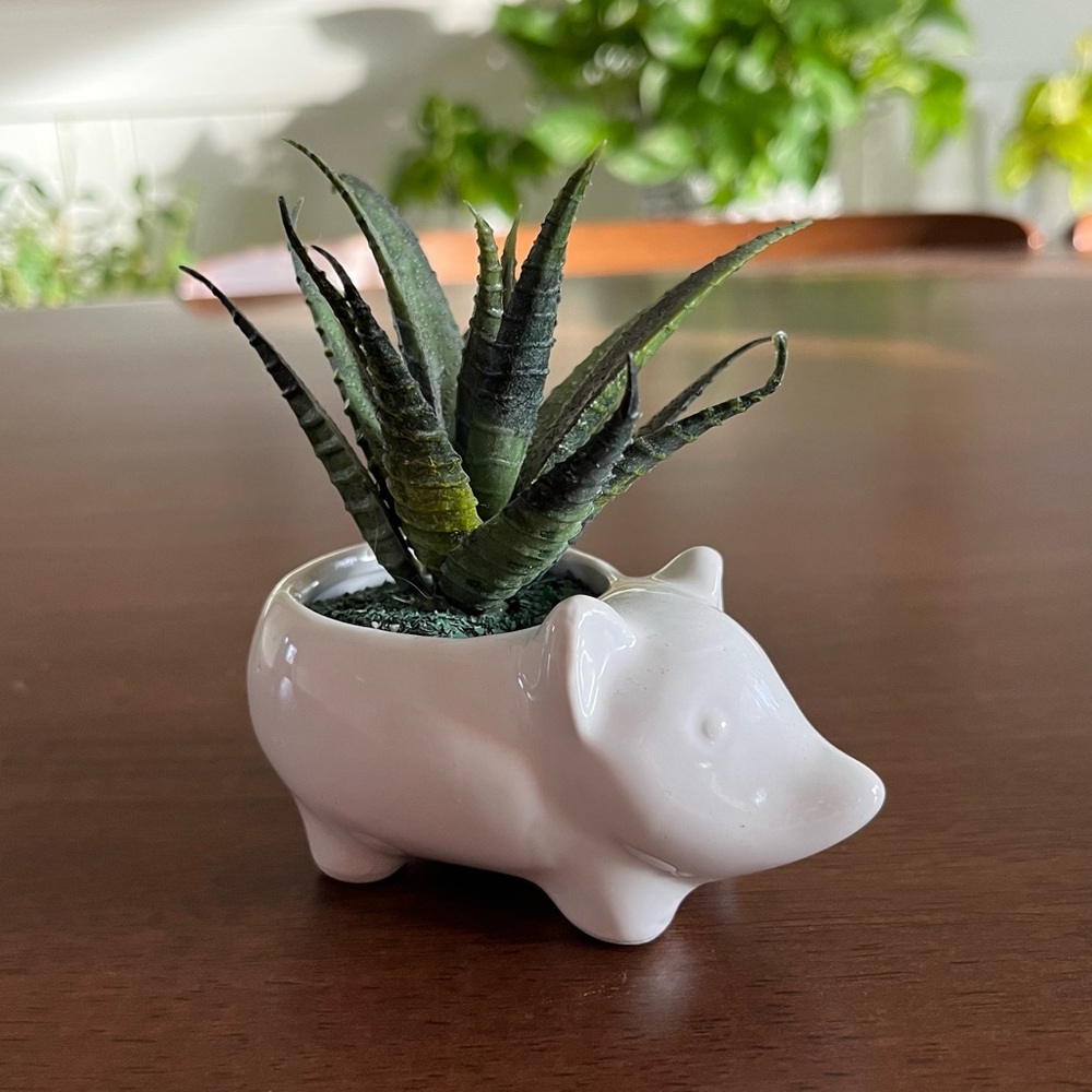Hedgehog Mini Planter w/ Faux Succulent